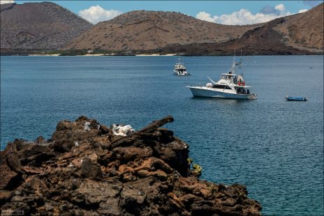 Залив Sullivan Bay особенно популярен для снорклинга: холодные воды, подпитываемые течением Гумбольдта, богаты планктоном, поэтому у берегов часто встречаются черепахи, скаты и стайные рыбы.
Несмотря на экваториальное расположение, вода здесь прохладная, и купание освежает даже в солнечный день.