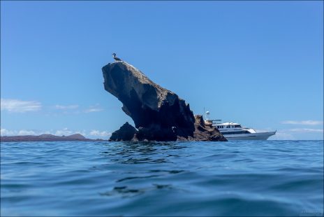 Снорклинг возле острова Бартоломе.