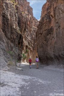 Маршрут по дну каньона туда-обратно составляет 1,4 мили (примерно 2,2 км), и часто описывается как очень легкий/умеренный поход, подходящий для подавляющего большинства туристов.