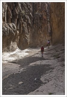 Тень и прохлада: в каньоне обычно прохладнее, чем на открытой пустынной местности, потому что высокие стены отбрасывают тень большую часть дня.