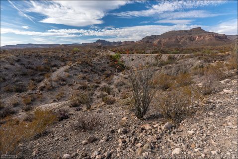 Характерный для пустыни Чиуауа пейзаж — суровый, открытый, с вулканическими скалами и редкой, но выразительной растительностью.