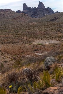 Mule Ears Viewpoint. Название Mule Ears переводится как «уши мула». Так называют две острые скальные вершины, которые торчат из пустынного плато и действительно напоминают пару поднятых ушей.