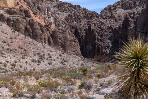 Естественный водосброс в сухом каньоне большую часть времени выглядит как каменный амфитеатр, а после дождей ненадолго оживает.