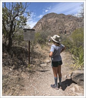 За последние годы, популяция черных медведей и кугуаров (mountain lions) в парке значительно увеличилась. Предупреждающий знак.