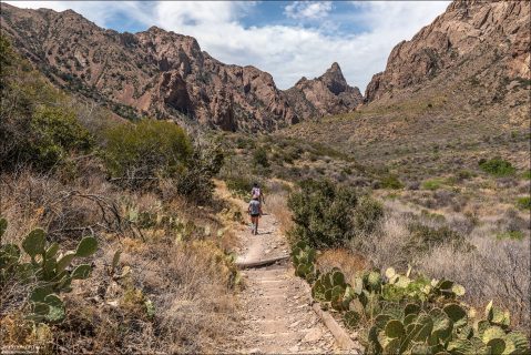 The Window Trail — одна из самых выразительных и запоминающихся троп Big Bend National Park.