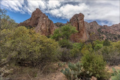 Тропа начинается в Basin (Chisos Mountains) — редком для Big Bend «острове» более прохладного климата и зелени.