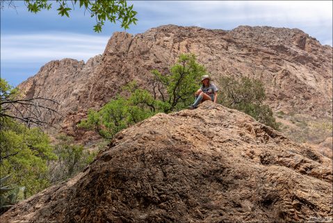 Саша на холме из риолита.
Подавляющее большинство камней вдоль тропы — вулканического происхождения. Горы Chisos сформировались около 30–35 миллионов лет назад в результате мощной вулканической активности.