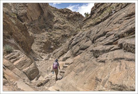 Тропа The Window Trail умеренной сложности, длиной 5,5 миль (8 км) туда-обратно.