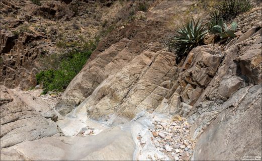 Хотя Big Bend кажется сухим, вода здесь — главный скульптор. The Window Trail идёт по dry wash — руслу временного потока.