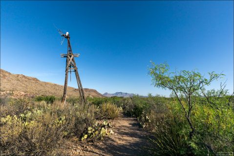 Sam Nail Ranch Trail — короткая историко-природная тропа в Big Bend National Park, которая неожиданно выбивается из привычного образа суровой пустыни. Здесь Big Bend показывает себя не как «дикий край», а как место, где люди пытались жить и хозяйничать — и на какое-то время у них даже получалось.
Ранчо принадлежало Сэму Нейлу, афроамериканцу, который поселился здесь в начале 1900-х годов. Это важный момент, т.к. в изолированном, пограничном и далеко не простом Техасе того времени Сам Нейл сумел получить землю, завести хозяйство, наладить водоснабжение, выращивать фрукты и держать скот.
Для начала XX века — особенно для чёрного фермера — это была редкая и непростая история успеха.