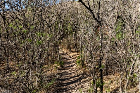 Тропа через ранчо Сэма Нейла.