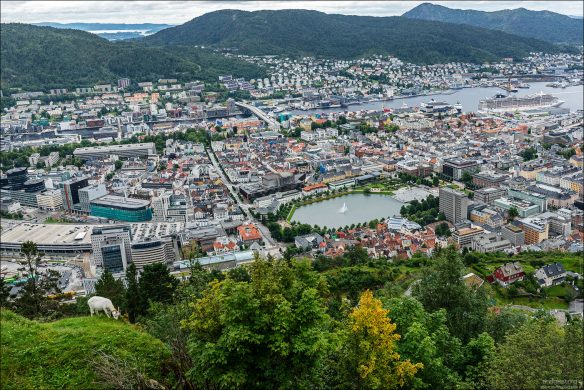 С высоты Флёйен Bergen раскрывается не как открытка, а как живая система: город, вписанный в ландшафт фьордов и гор.