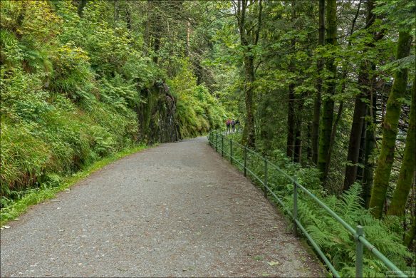 С вершины Mount Fløyen можно спуститься пешком по тропе Fløystien, которая идёт параллельно линии фуникулёра Fløibanen, и постепенно спускается к центру Бергена.