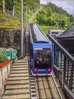 Каждый из вагонов может перевозить 120 пассажиров. Вагоны имеют ступенчатый пол, большие окна и стеклянную крышу, чтобы максимально улучшить обзор во время движения.