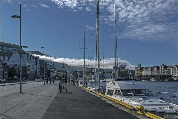 Будучи главным историческим портом Бергена, Ваген со средневековых времен был морским центром, из которого стал развиваться город.
