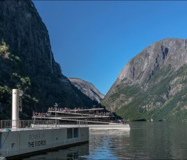 Полностью электрический катамаран Future of the Fjords из углепластика. Вместимость 400 пассажиров. Его форма напоминает горную тропу или серпантин, по которому можно гулять вверх по палубам.