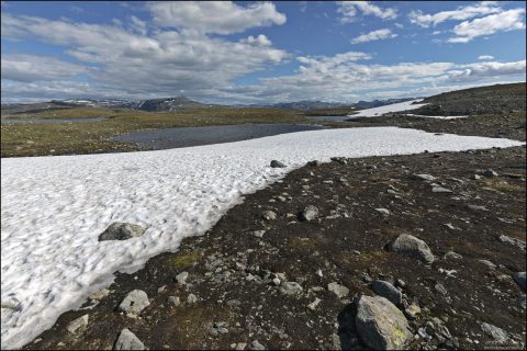 "Снежная дорога" достигает высоты 1306 метров, снег здесь есть даже в конце июля.