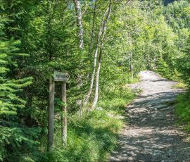 Начало тропы к веревочному парку Voss Active - High Rope and Zipline Park.