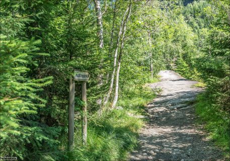 Начало тропы к веревочному парку Voss Active - High Rope and Zipline Park.