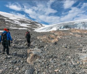 Классический способ посетить Austdalsbreen — присоединиться к экскурсии, которая включает переправу через озеро Стюггеватнет на каяке или лодке, а затем прогулку по леднику в кошках с верёвочной страховкой. Предварительный опыт хождения по ледникам не требуется.