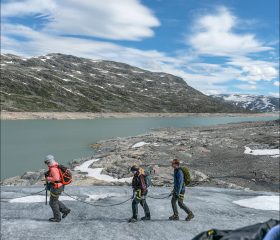 Движение в связке дисциплинирует: шаг становится более осознанным, меньше резких движений.