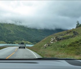 Трасса Rv. 5, через невысокий горный перевал вдоль узкого фьорда.