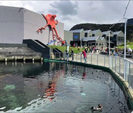 Атлантический океанариум в Олесунне (Atlanterhavsparken). На серой бетонной стене главного здания установлена огромная, яркая скульптура осьминога. Она служит не только украшением, но и частью детской площадки — его щупальца плавно переходят в горки и лесенки, по которым лазают дети.