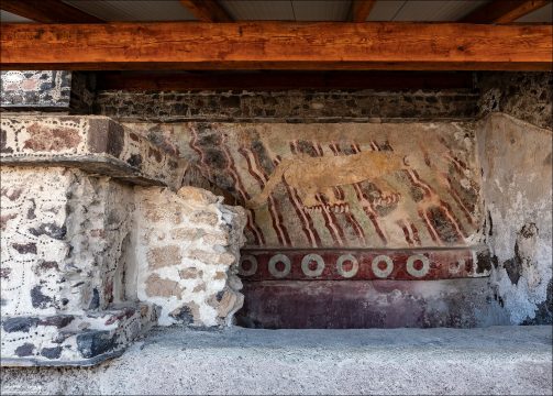 Фреска «Мурал Пумы» (Mural del Puma): Один из самых известных сохранившихся образцов настенной живописи Теотиуакана, расположенный непосредственно на Дороге Мёртвых. На полихромном рельефе из штукатурки изображен крупный самец пумы (горного льва) на фоне диагональных полос, который в мезоамериканской космологии символизировал дневное Солнце и видимую земную власть. Нижний бордюр фрески украшен традиционными круглыми элементами — «чальчиуитс», обозначающими священные бусины из нефрита, символы плодородия и изобилия.