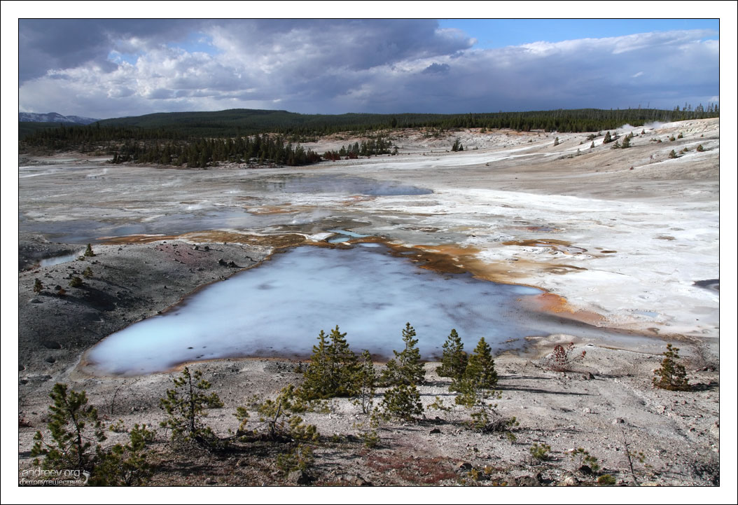 Йеллоустонский заповедник гейзеры. Национальный парк йеллоустоун snowrunner. Йеллоустоун животные. Йеллоустонский национальный парк (штат вайоминг). Йеллоустоун 18.