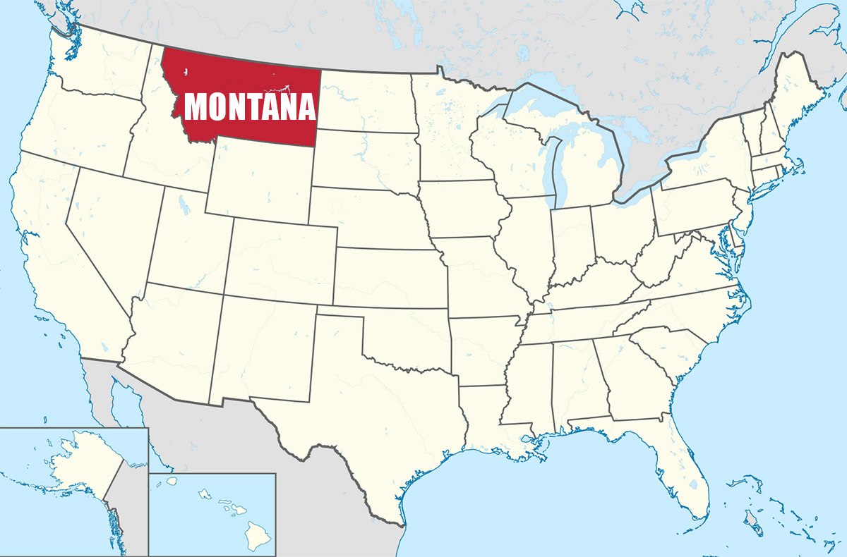 Usa-page. Page сша. Пейдж сша мост. Дизайн флага. Америка коллаж.