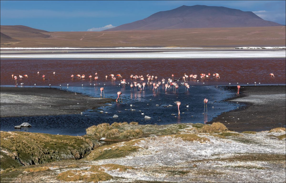 “Боливар” выдержал троих, или 10-ти дневка по Боливии (Ноябрь 2025)