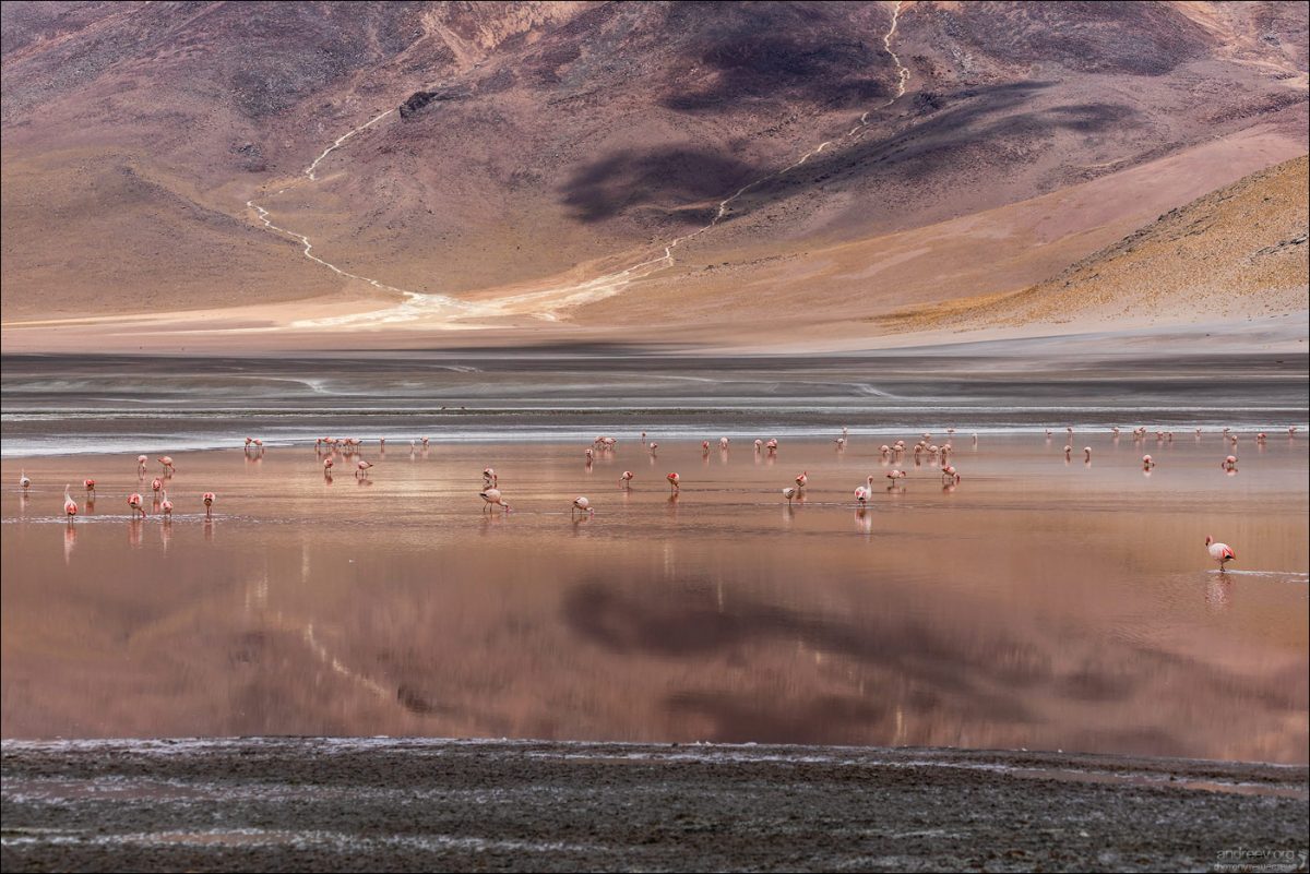 “Боливар” выдержал троих, или 10-ти дневка по Боливии (Ноябрь 2025)