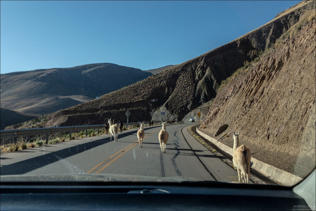 “Боливар” выдержал троих, или 10-ти дневка по Боливии (Ноябрь 2025)
