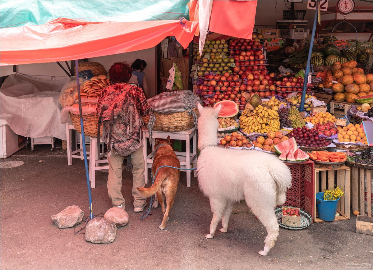 “Боливар” выдержал троих, или 10-ти дневка по Боливии (Ноябрь 2025)