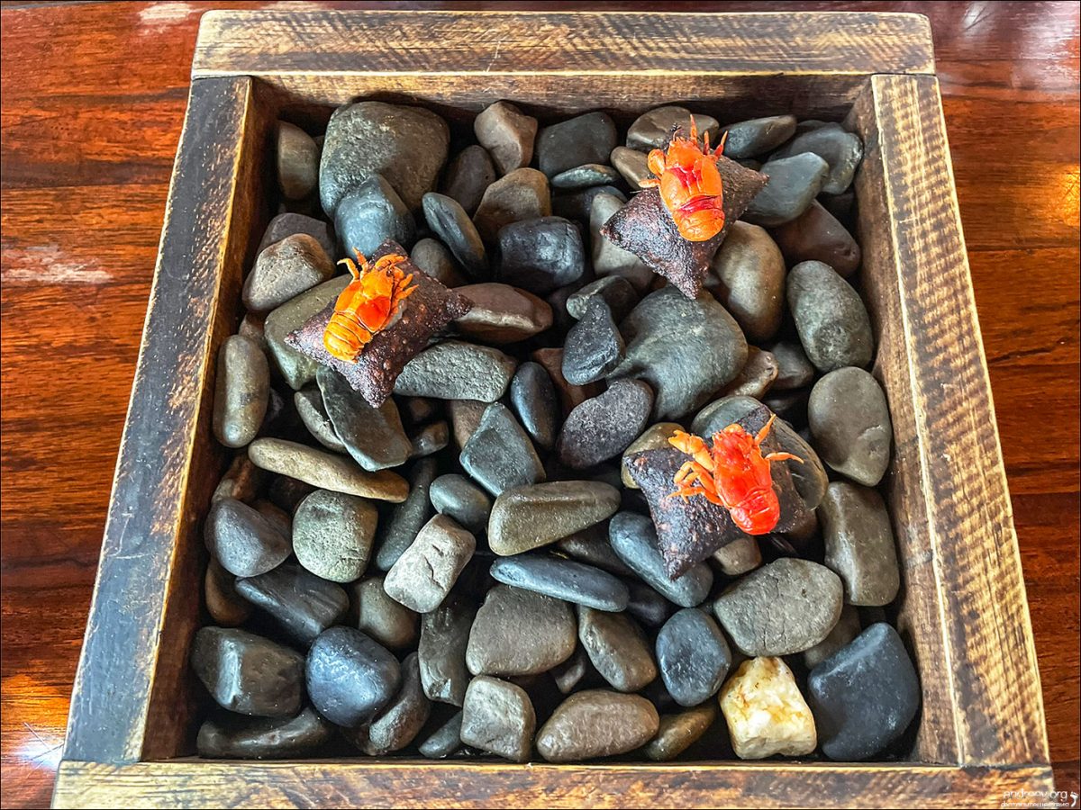 “Боливар” выдержал троих, или 10-ти дневка по Боливии (Ноябрь 2025)