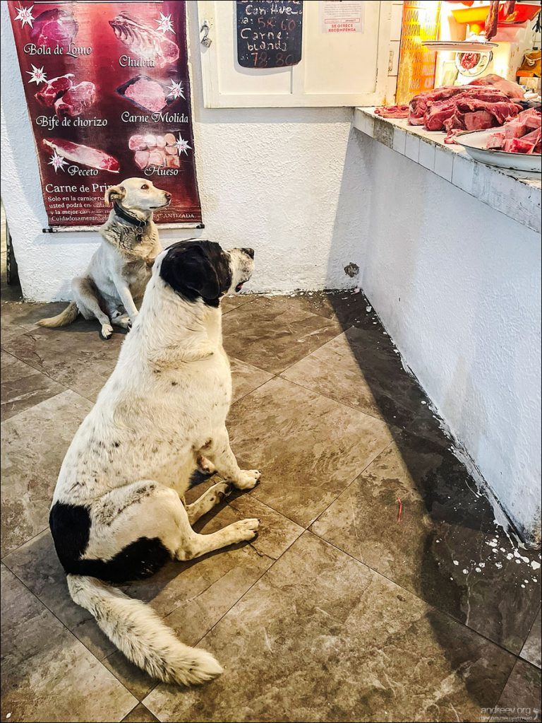 “Боливар” выдержал троих, или 10-ти дневка по Боливии (Ноябрь 2025)