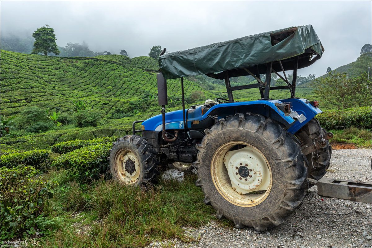 Сингапур — Камбоджа — Малайзия (Январь 2025)