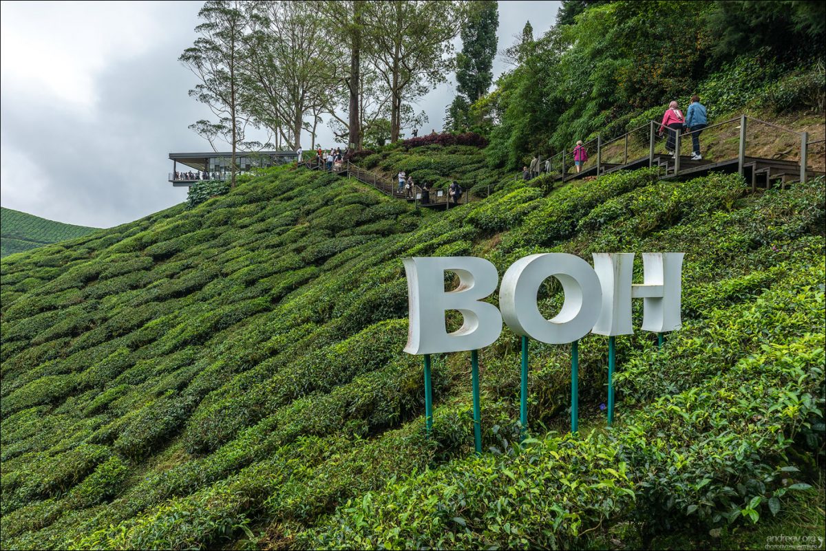 Сингапур — Камбоджа — Малайзия (Январь 2025)