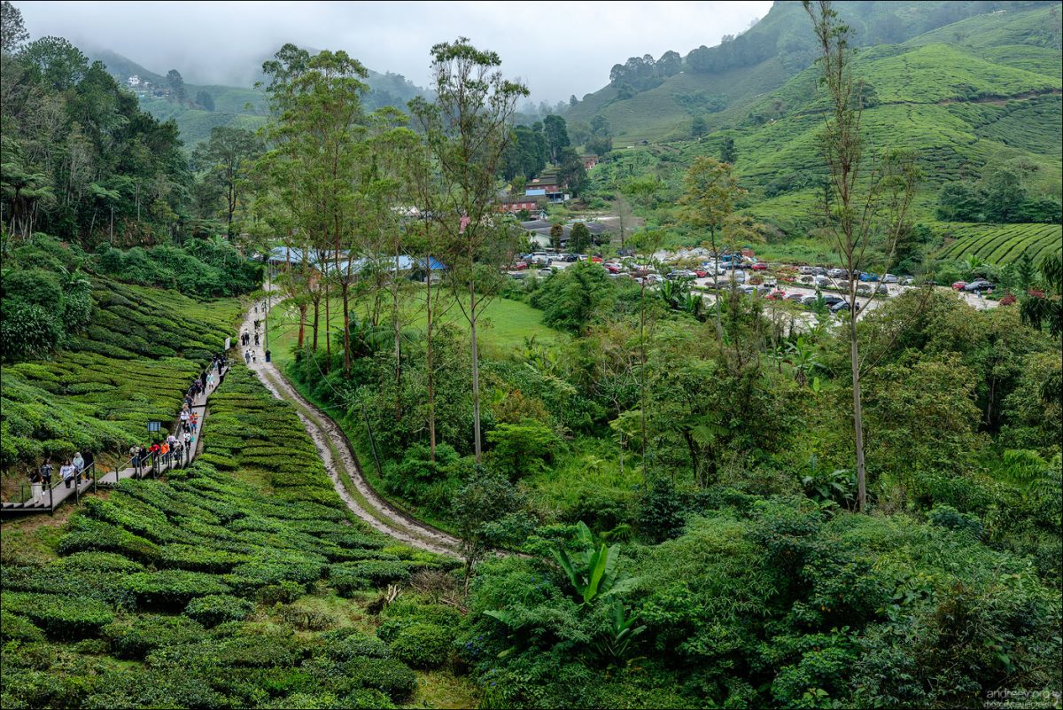 Сингапур — Камбоджа — Малайзия (Январь 2025)