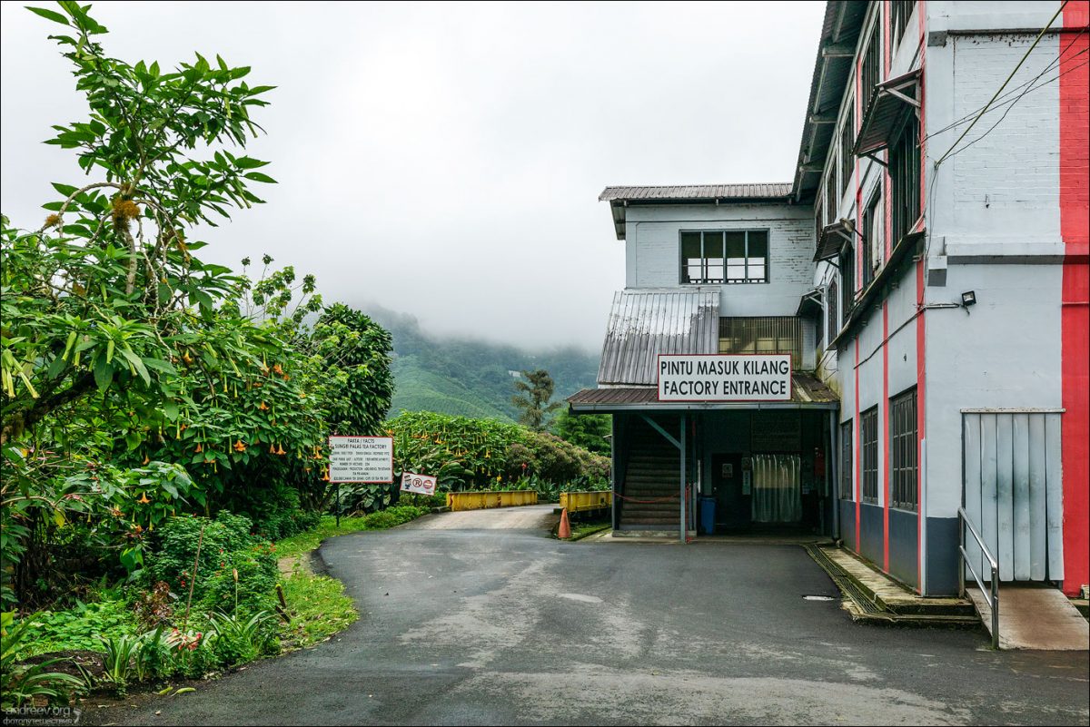 Сингапур — Камбоджа — Малайзия (Январь 2025)