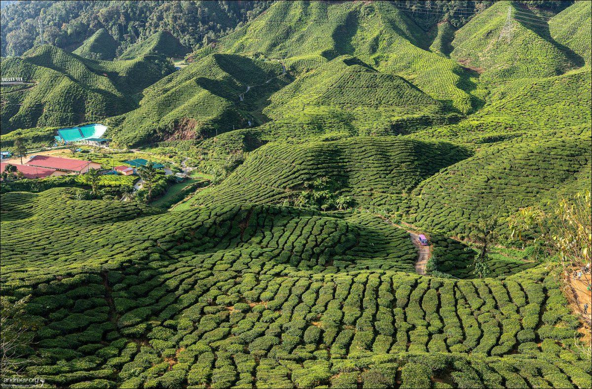 Сингапур — Камбоджа — Малайзия (Январь 2025)