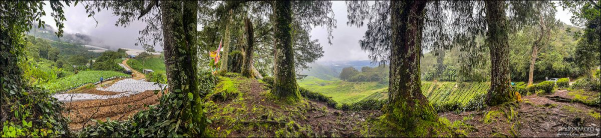 Сингапур — Камбоджа — Малайзия (Январь 2025)